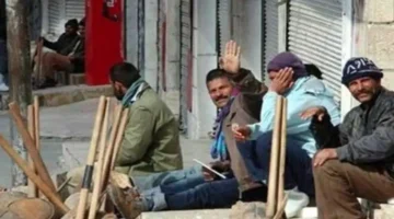 رابط الاستعلام.. طريقة فحص حالة طلب منحة العمالة غير المنتظمة برقم البطاقة